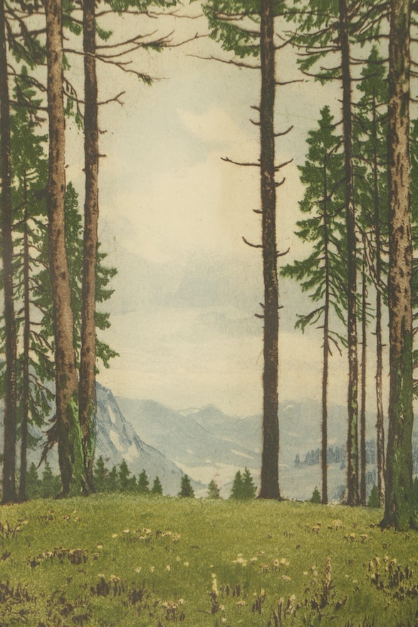 Hand Colored Etching of Mountain Landscape