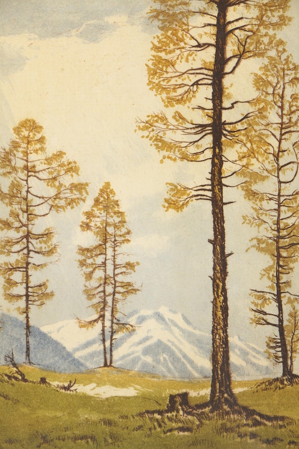 Signed Etching of Mountain Landscape