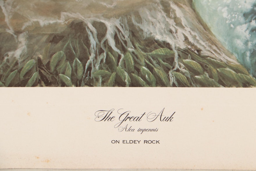 John A. Ruthven Offset Lithograph "The Great Auk," Circa 1970