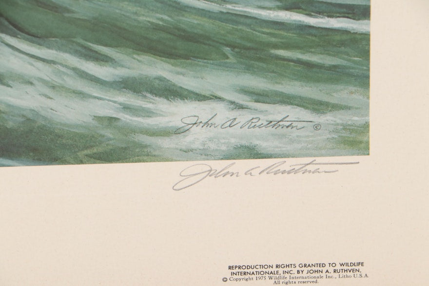 John A. Ruthven Offset Lithograph "The Great Auk," Circa 1970