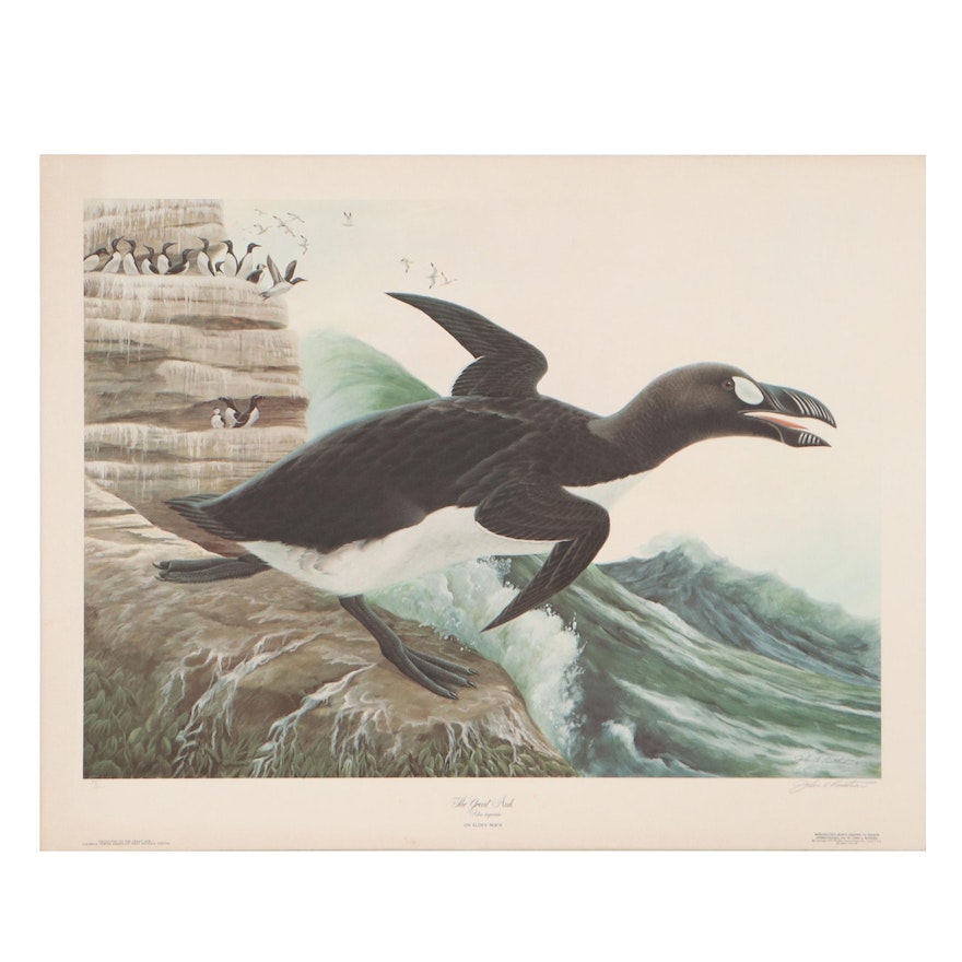 John A. Ruthven Offset Lithograph "The Great Auk," Circa 1970
