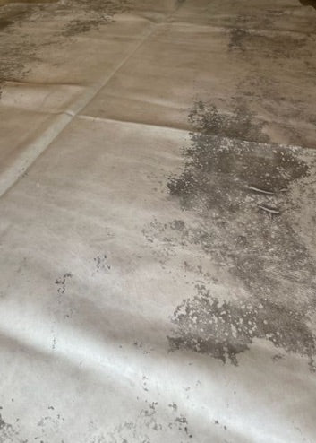 Champagne Cowhide Rug