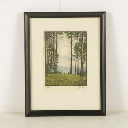 Hand Colored Etching of Mountain Landscape