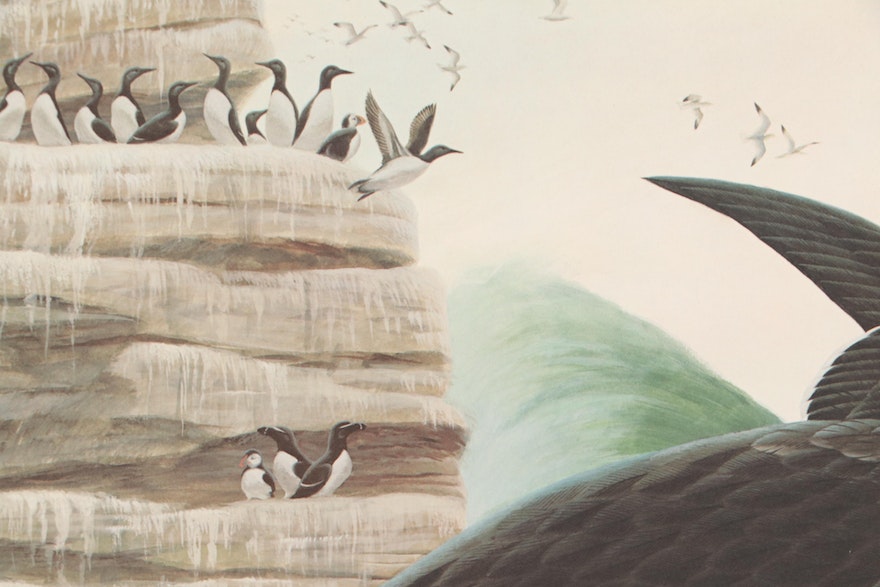 John A. Ruthven Offset Lithograph "The Great Auk," Circa 1970