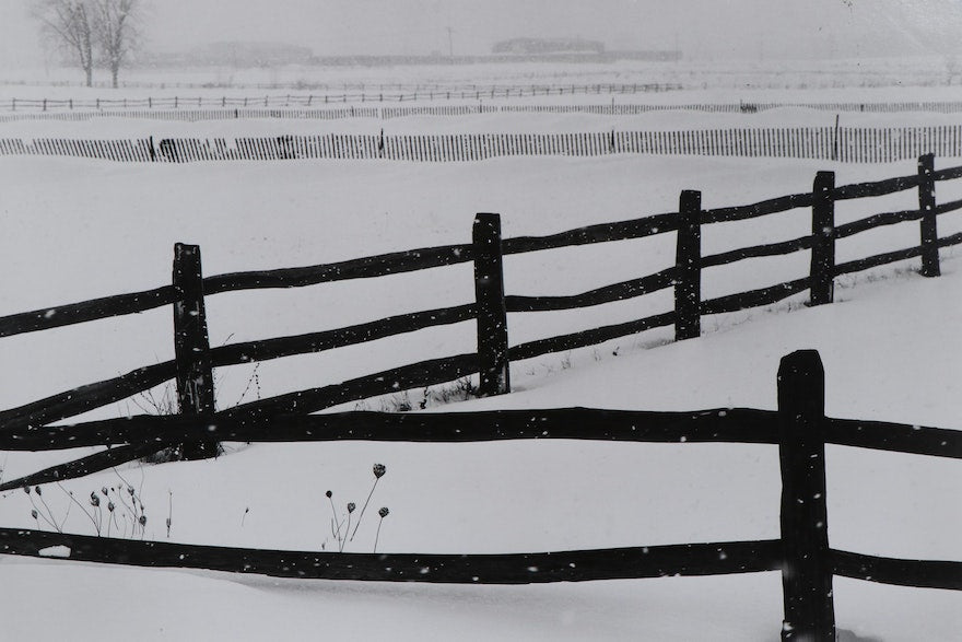 Grant Haist "Fenced Snow" and "Sled Time" Collection, Silver Print Photographs