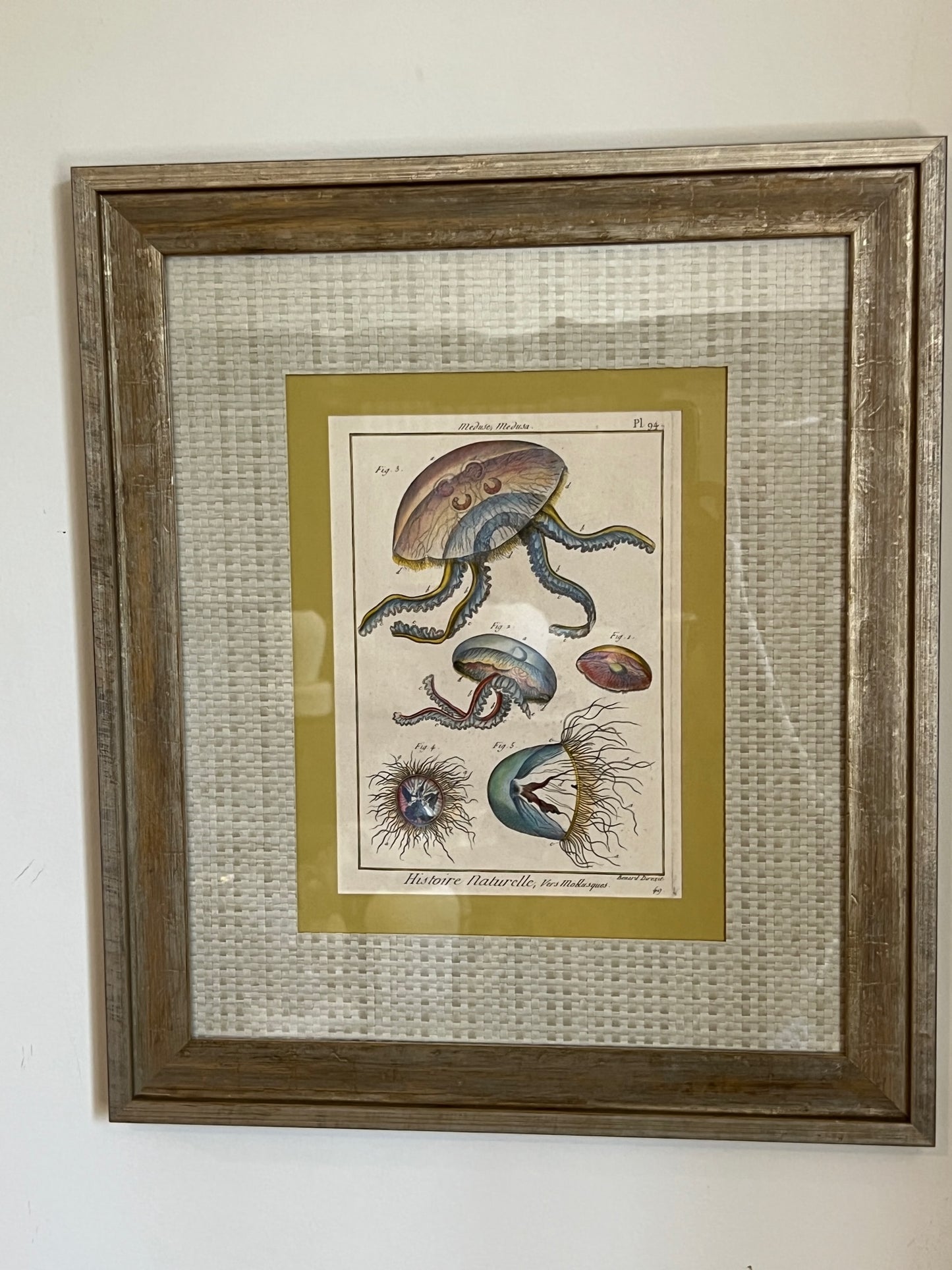 "Meduse, Medusa - PL 94" Colored Lithograph