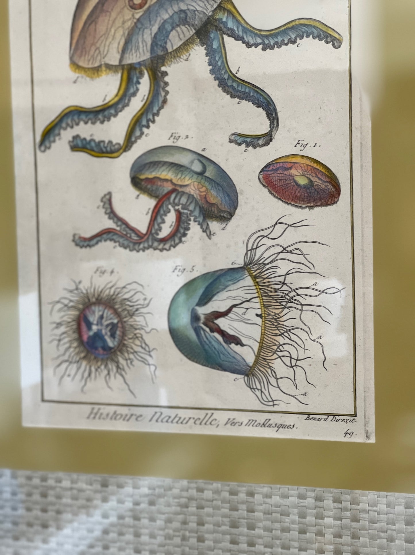 "Meduse, Medusa - PL 94" Colored Lithograph