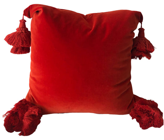 Scarlett Velvet Pillow