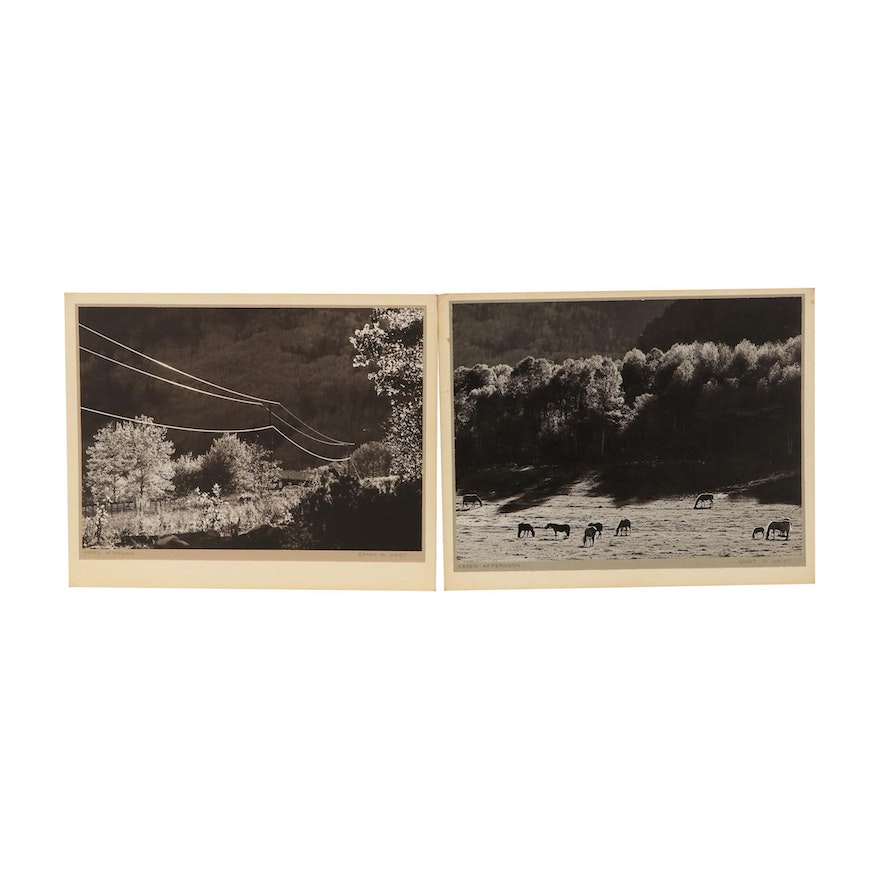 Grant Haist Silver Prints "Aspen Afternoon #1" and "Aspen Afternoon #4"