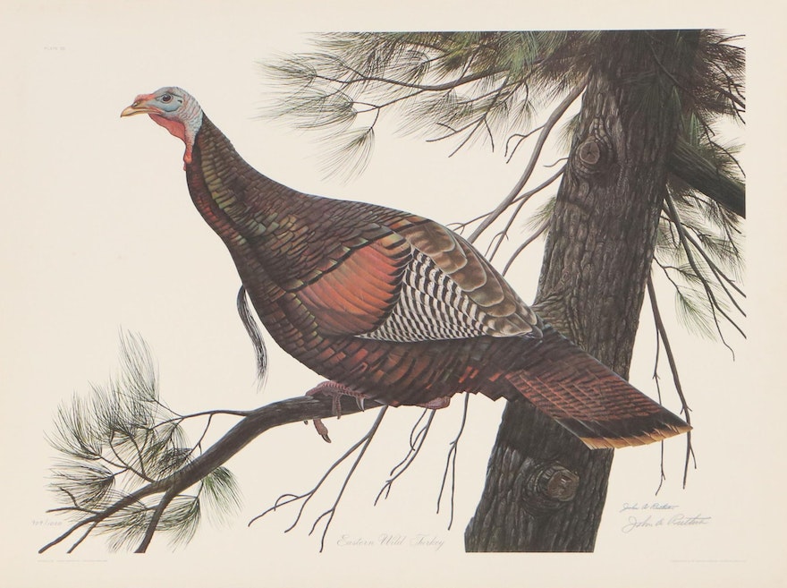 "Eastern Wild Turkey," John Ruthven Offset Lithograph