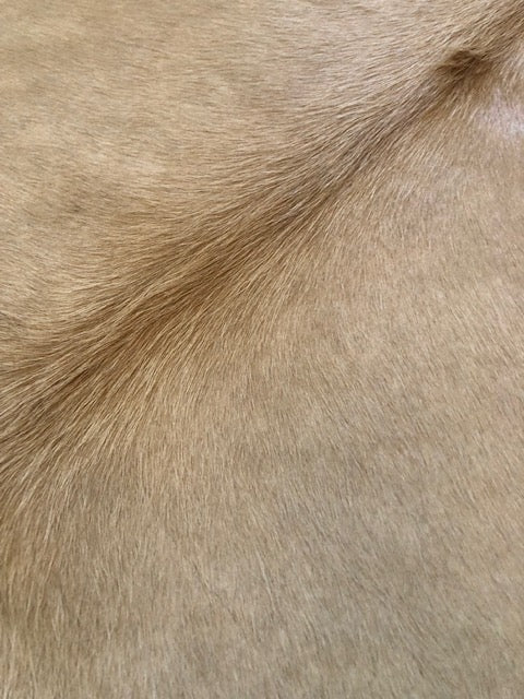 Large Champagne Brazilian Cowhide